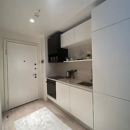 New Luxury Flat Near Mall Of * اسطنبول