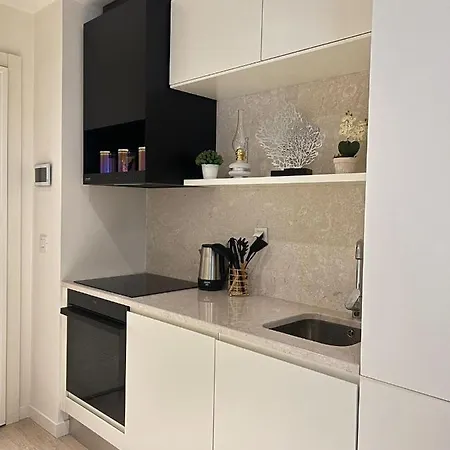 New Luxury Flat Near Mall Of Apartment Istanbul