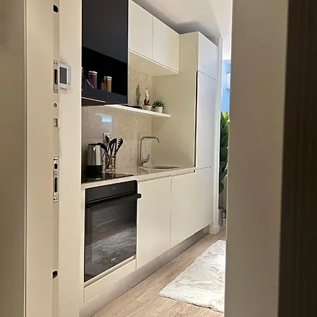 New Luxury Flat Near Mall Of * 伊斯坦布尔